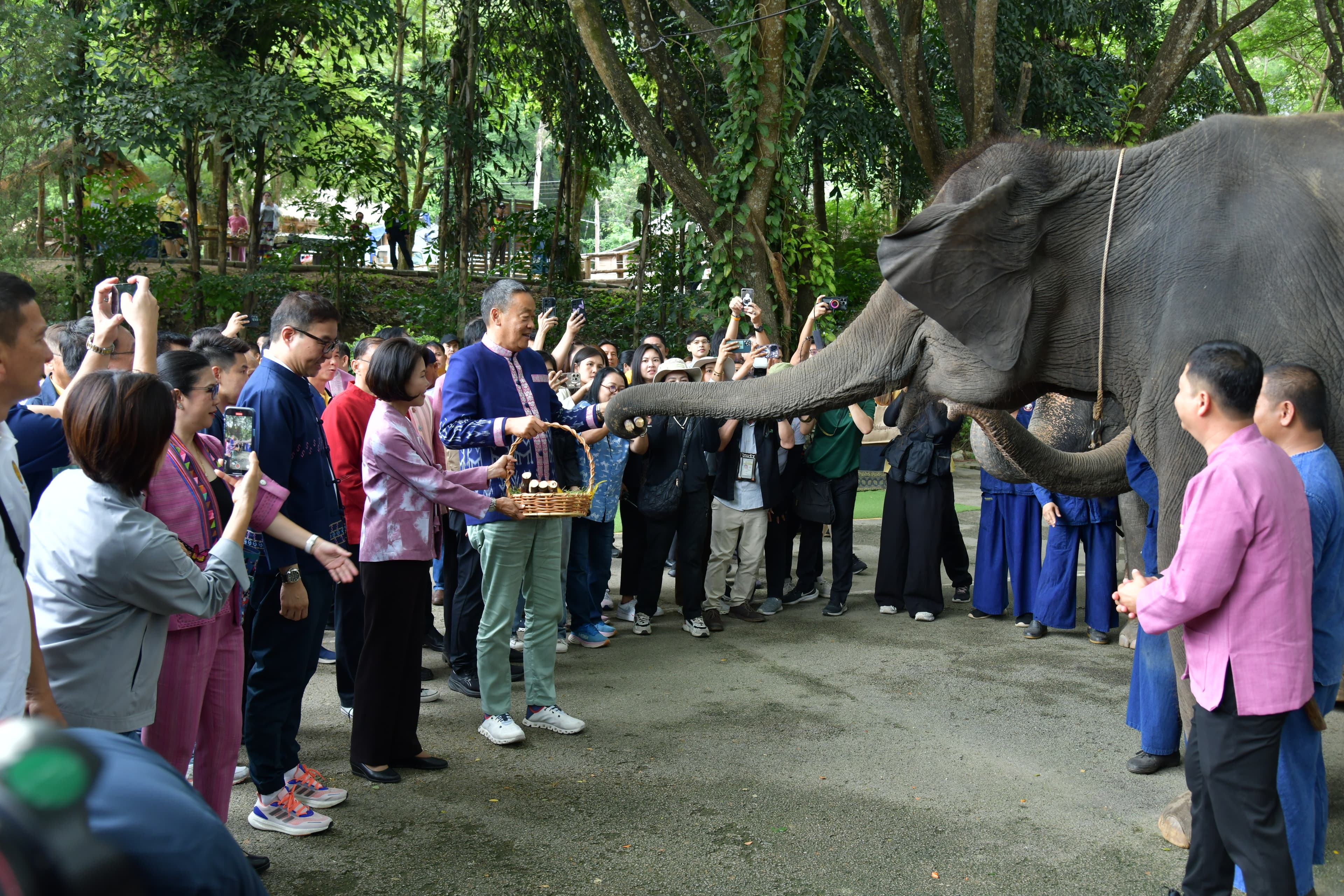 รมว.เสริมศักดิ์ ร่วมลงพื้นที่ตรวจเยี่ยมโรงพยาบาลช้าง การสาธิตการทําสมุนไพรบํารุงกําลังช้าง และการสาธิตการทําผลิตภัณฑ์จากมูลช้าง ณ ศูนย์อนุรักษ์ช้างไทย อ.ห้างฉัตร จ.ลําปาง