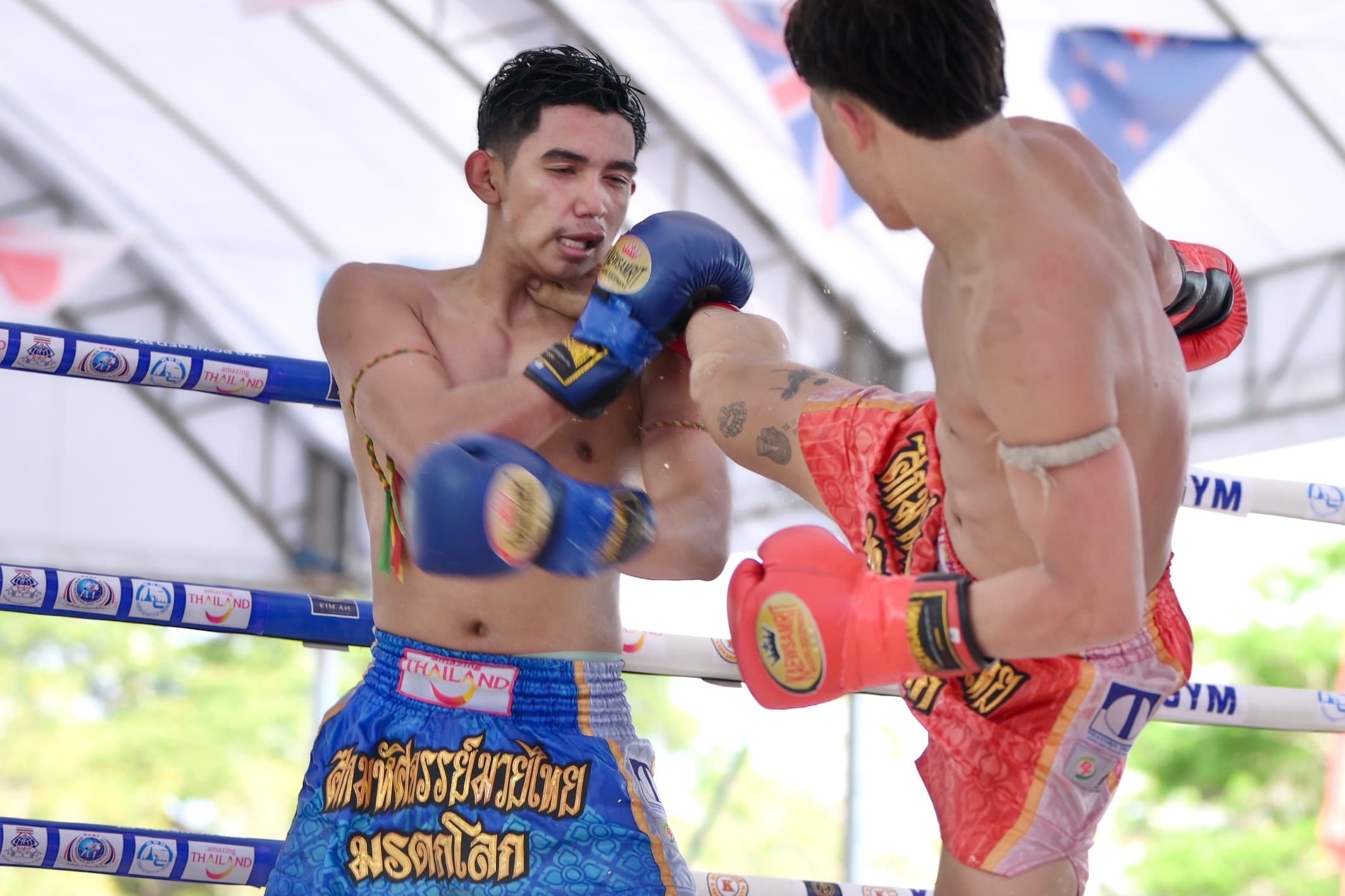 รูปภาพแกลเลอรี