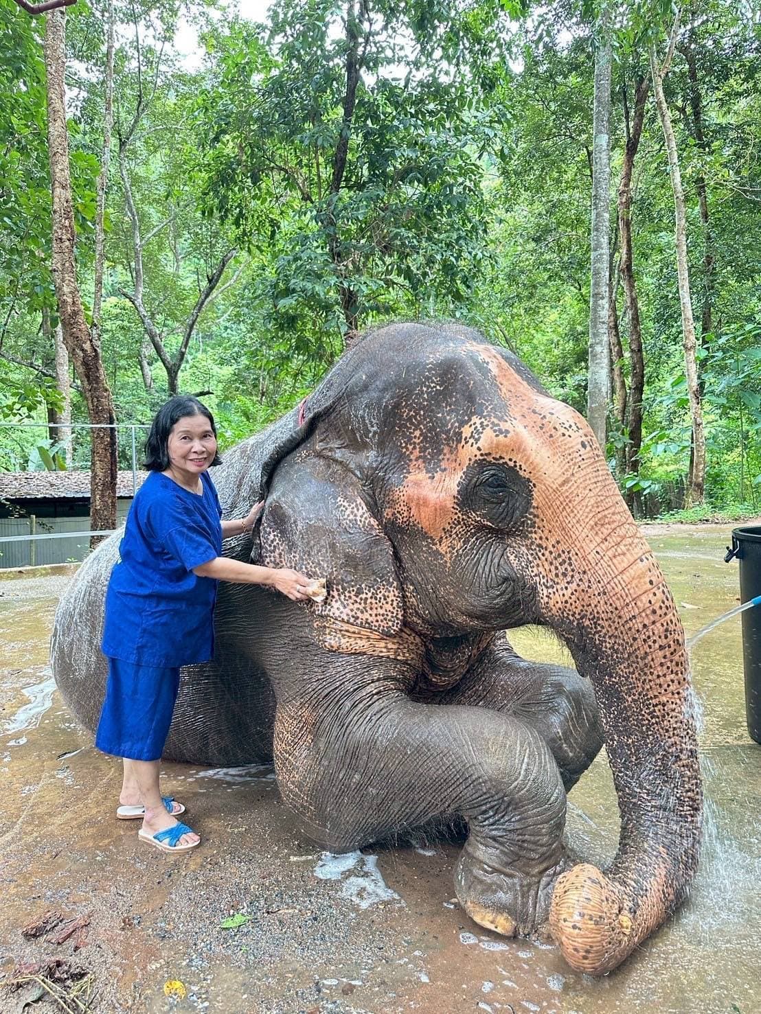 รูปภาพแกลเลอรี