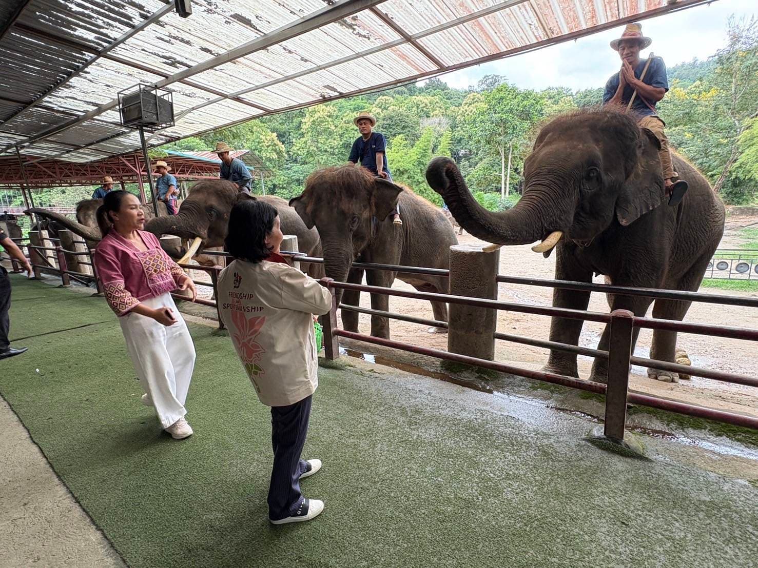 รูปภาพแกลเลอรี