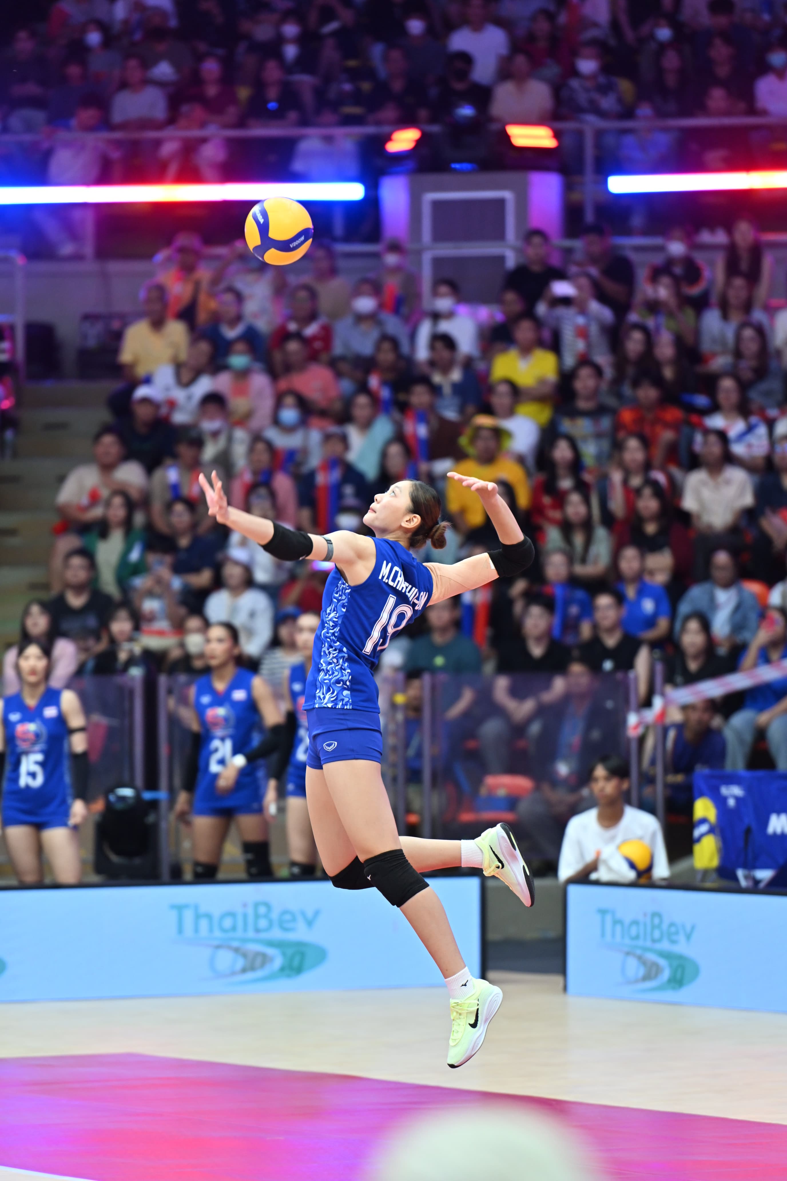 รูปภาพแกลเลอรี