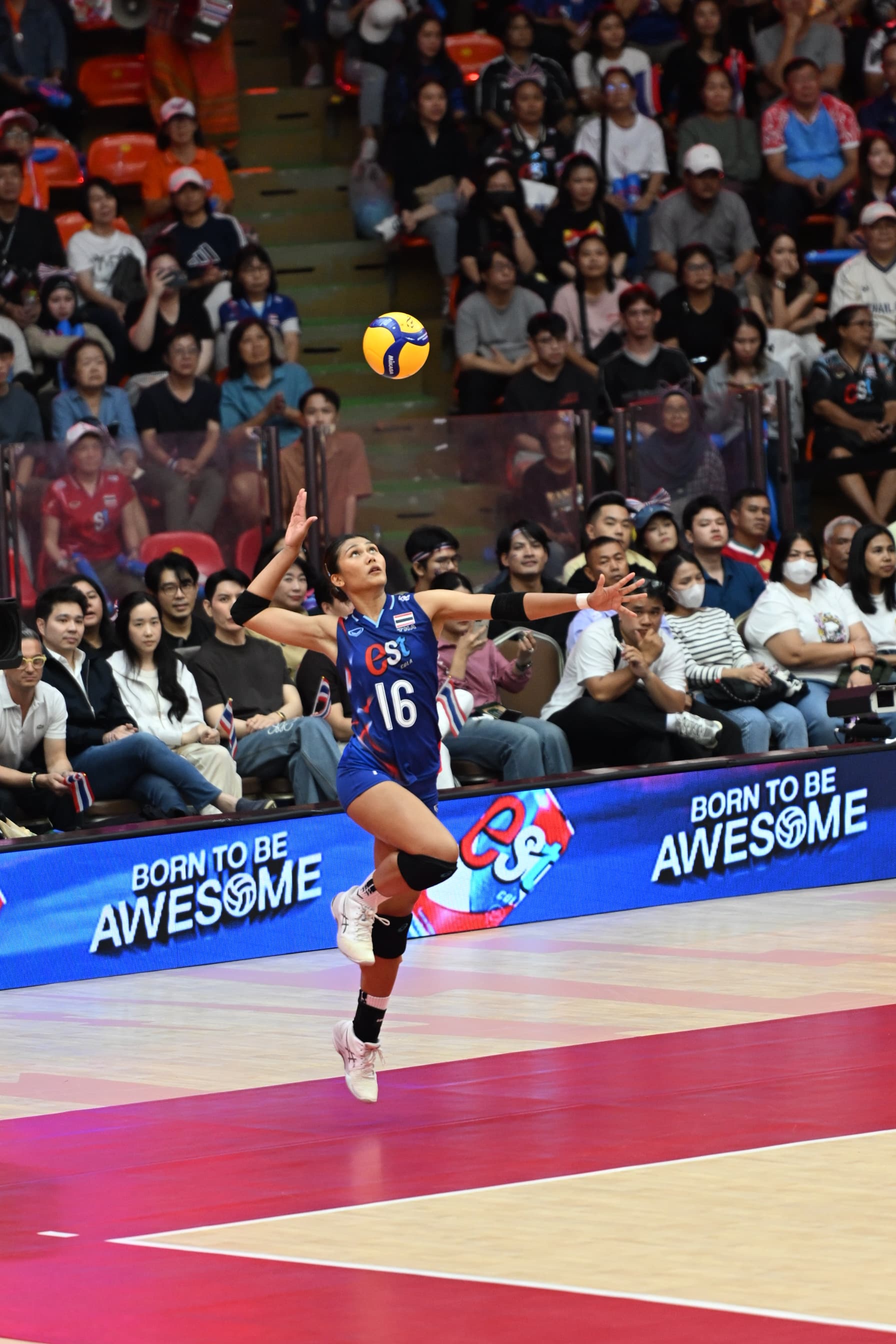 รูปภาพแกลเลอรี